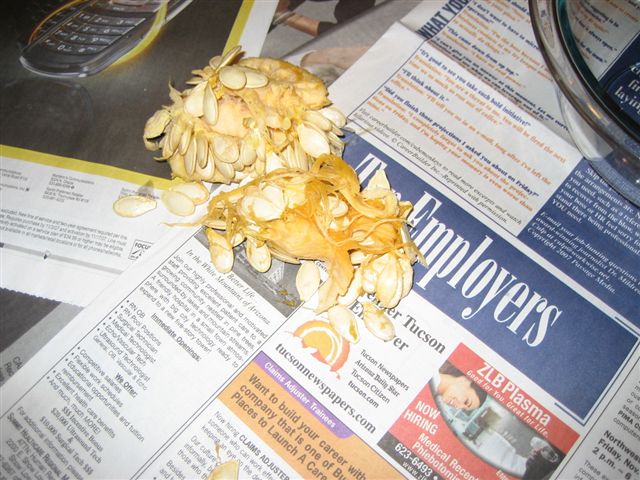 Pumpkin seeds